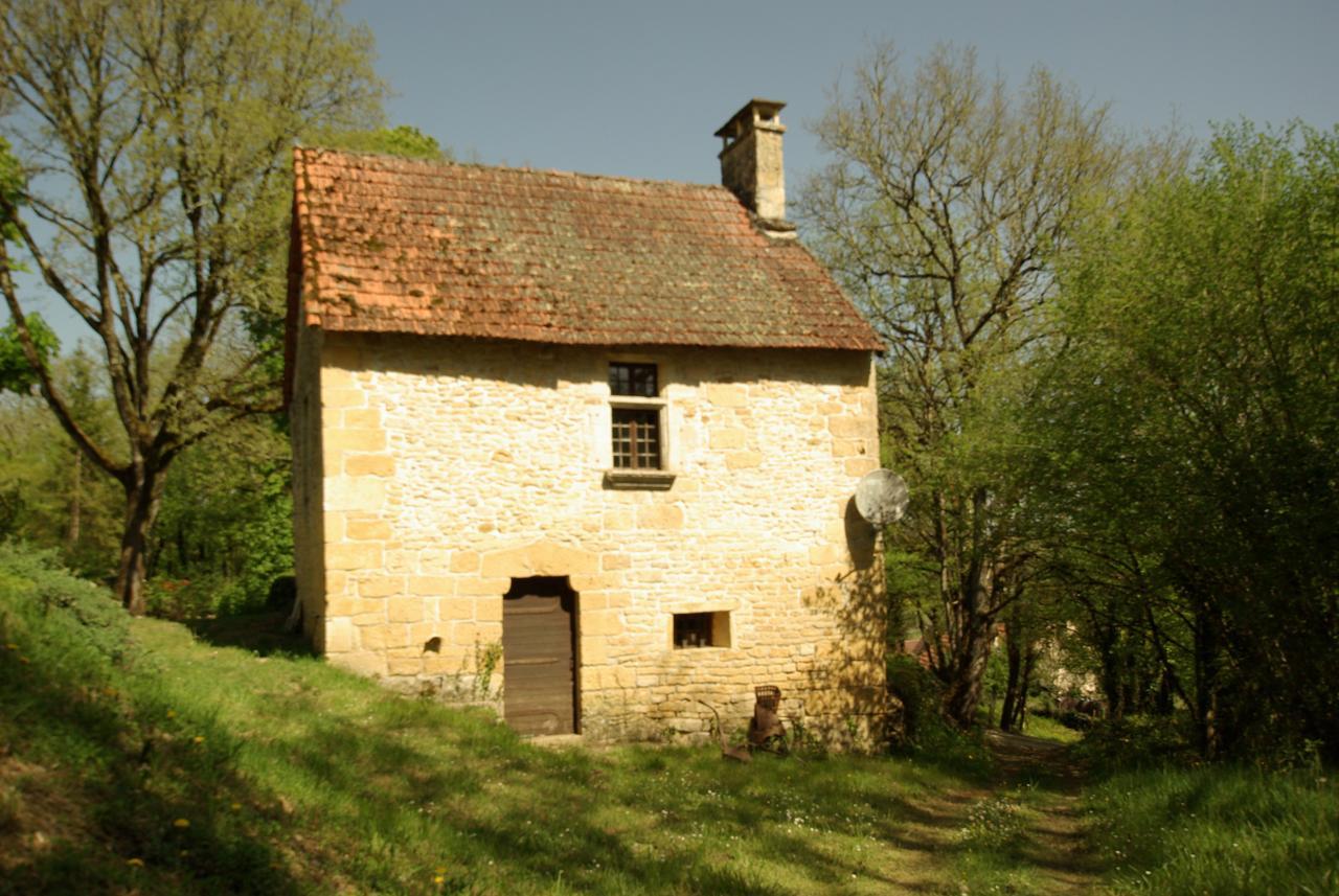 فيلا Les Farges في Les Maisons Du Cheylard-Lascaux المظهر الخارجي الصورة